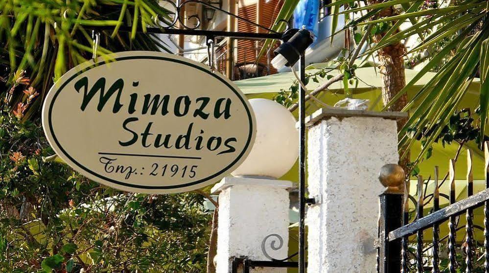Mimoza Studios Skiathos stad Exteriör bild
